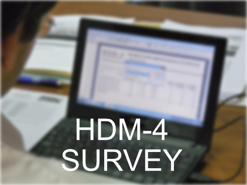 HDM-4 Survey